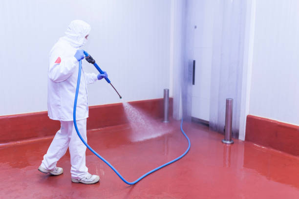 Best Patio and Deck Pressure Washing  in South Portland, ME
